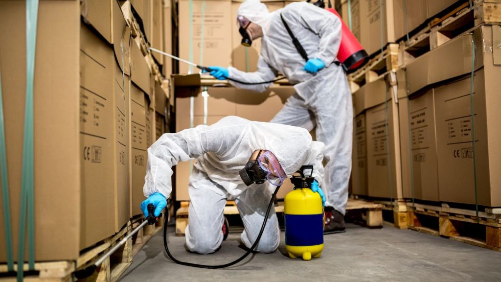 Pest Control in Centennial, CO