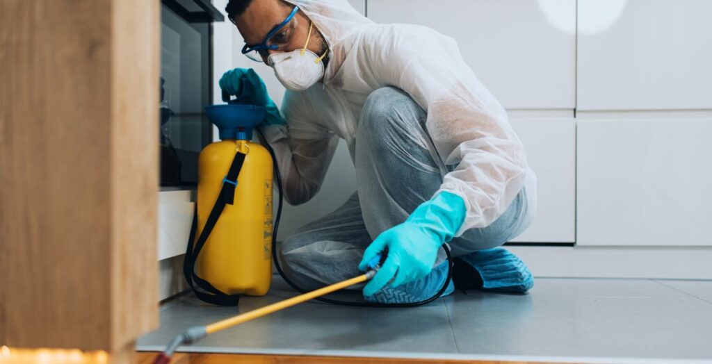 bee removal