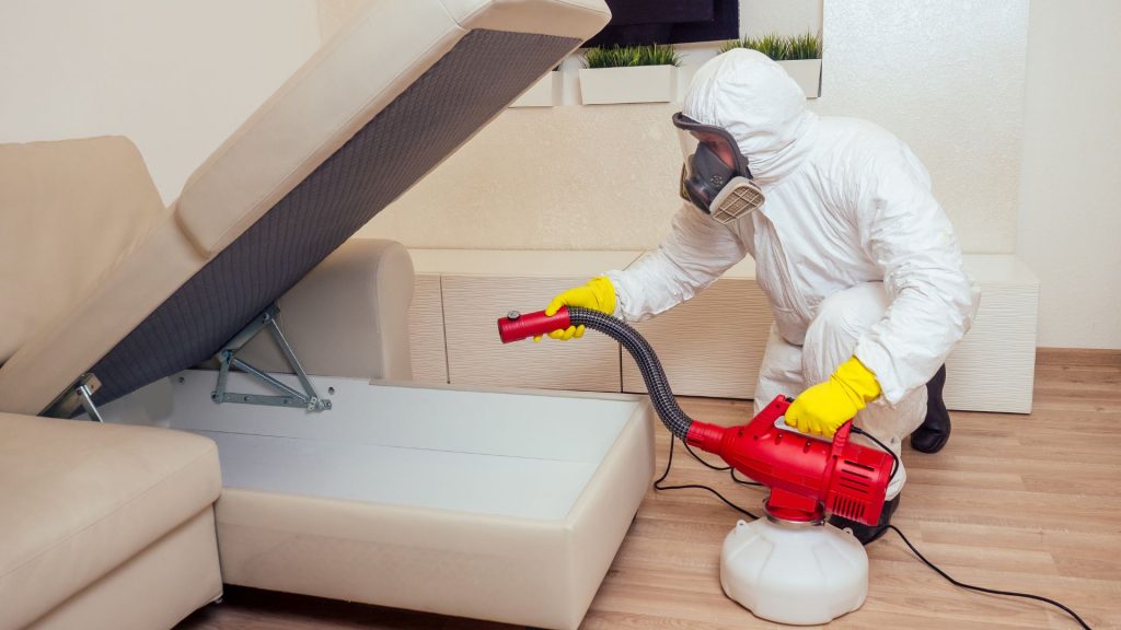Pest Exterminator in Broomfield, CO